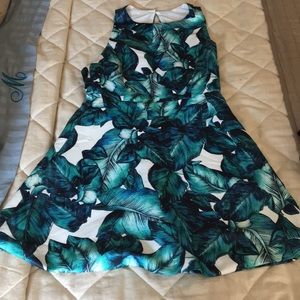 Tropical fit and flare dress